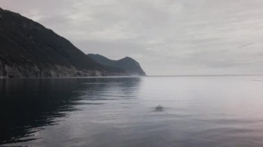 Russkaya Bay Avacha Körfezi Pasifik Okyanusu stok görüntüleri video güneybatı kesiminde