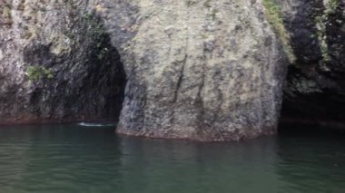 Güney-Doğu sahil Kamçatka Yarımadası mağaralarda-yıkanmış Pasifik Okyanusu stok görüntüleri suları ile video