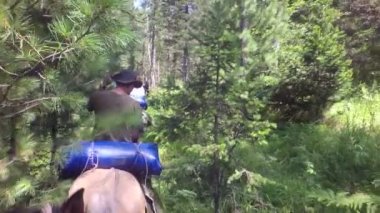 Altay Dağları yavaş hareket hisse senedi görüntüleri video yaz ormanda aracılığıyla at sırtında yolculuk