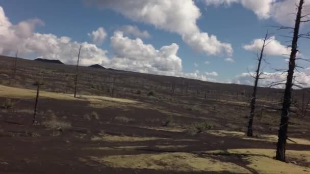 Martwe drewno - konsekwencją katastrofalne uwolnienie popiołu podczas erupcji wulkanu w 1975 Tolbachik Północnej przełom Stockowy materiał wideo — Wideo stockowe