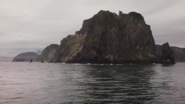 Güney-Doğu sahil Kamçatka Yarımadası video Pasifik Okyanusu stok görüntüleri suları ile yıkanır