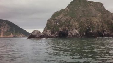 Güney-Doğu sahil Kamçatka Yarımadası video Pasifik Okyanusu stok görüntüleri suları ile yıkanır