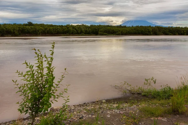 Nehir Zhupanova. Kamçatka Kronotsky doğa rezerv — Stok fotoğraf