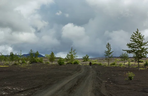 Camino al Parque Natural de Klyuchevskoy. Península de Kamchatka . Imagen de stock