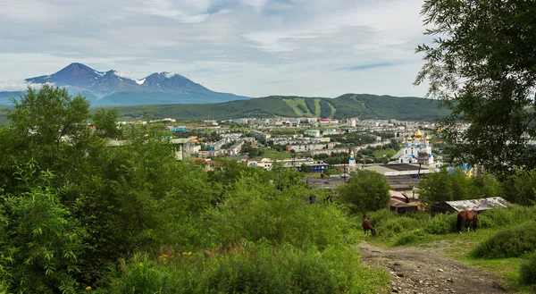 Avachinskaya Sopka ve Petropavlovsk-Kamchatsky Mishennaya Hills — Stok fotoğraf