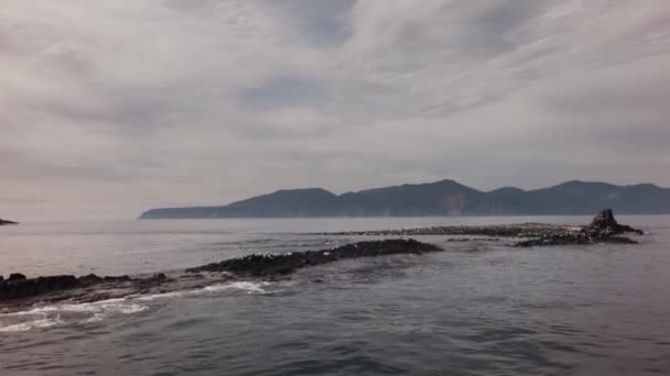 Isla Starichkov área natural especialmente protegida con colonias de pusa y aves acuáticas en la parte suroeste del Golfo de Avacha del Océano Pacífico material de archivo de vídeo — Vídeos de Stock