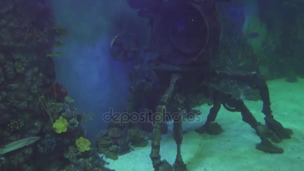 Decorative underwater bathyscaphe decoration of marine aquarium stock footage video — Stock Video