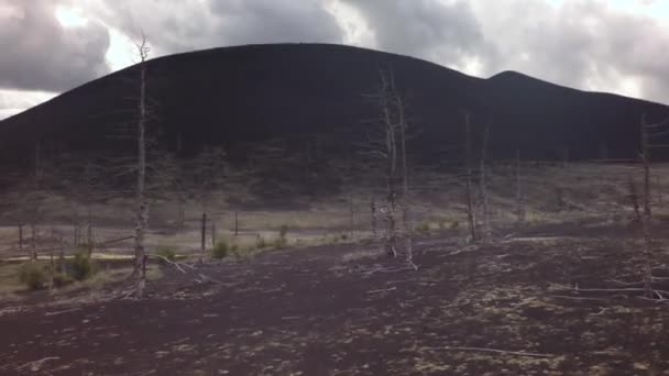 Martwe drewno - konsekwencją katastrofalne uwolnienie popiołu podczas erupcji wulkanu w 1975 Tolbachik Północnej przełom Stockowy materiał wideo — Wideo stockowe