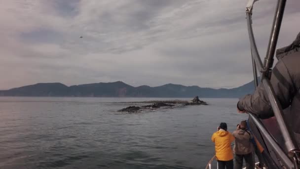 I turisti fotografano l'isola di Starichkov area naturale appositamente protetta con pusa e colonie di uccelli acquatici stock video — Video Stock