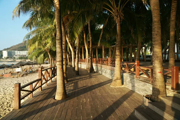 Embarque turístico matutino com palmeiras ao longo da praia na Baía de Dadonghai na Ilha de Hainan, China — Fotografia de Stock