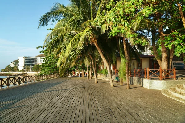 Ochtend toeristische Dijk met palmbomen langs het strand van Dadonghai Bay Hainan Island, China — Stockfoto