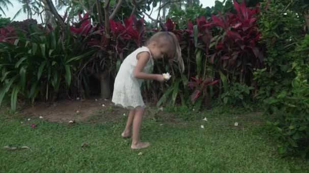 Malá holčička sbírá květy Plumeria v tropické zahradě stopáže videa — Stock video