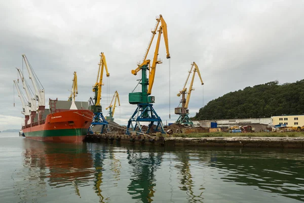Суховантажне судно Володимир Myasnikov та портовими кранами в Ава́ча Bay. — стокове фото