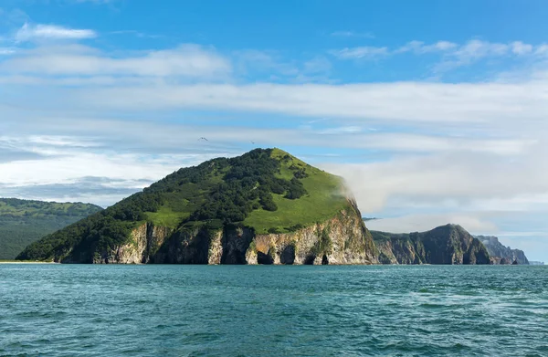 Rocas con cuevas y grutas en la bahía de Avacha del Océano Pacífico. La costa de Kamchatka . — Foto de Stock