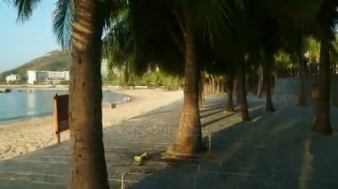 Şafak zaman atlamalı stok görüntüleri video, Dadonghai plajda palmiye ağaçları ile turistik sahil boyunca yürüyüş