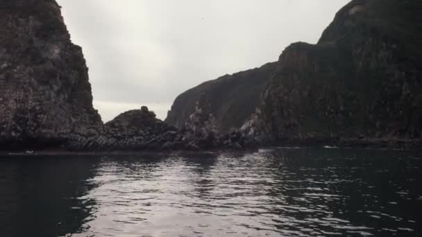 Остров Старичков особо охраняемая природная территория с водоплавающими колониями — стоковое видео