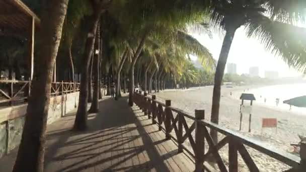 夜明けのストック映像をビデオに大東海ビーチにヤシの木が観光遊歩道に沿って歩いてください。 — ストック動画