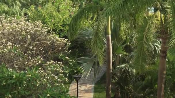 Beautiful tropical garden on site Resort Intime Sanya 5 in Dadonghai bay stock footage video — Stock Video