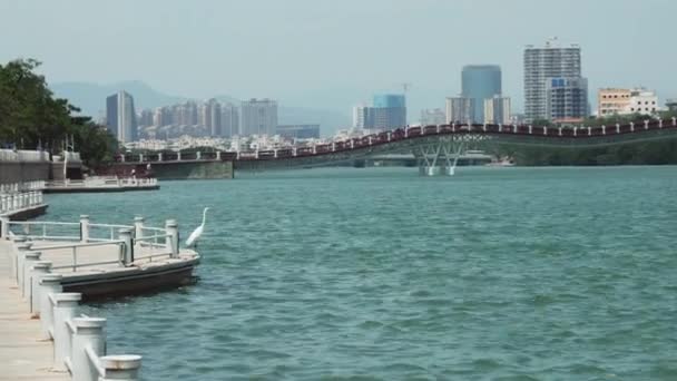 Nova ponte pedonal Arco-íris através do Rio Sanya imagens de vídeo — Vídeo de Stock