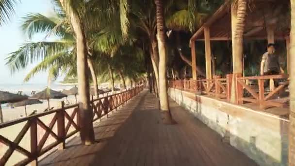 Caminhando ao longo do passeio turístico com palmeiras na praia de Dadonghai de madrugada lapso de tempo imagens de vídeo — Vídeo de Stock