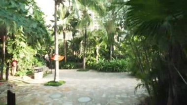 Site Resort zamanında Sanya 5 odaklanmamış zaman atlamalı üzerinde güzel tropik bahçe stok görüntüleri video