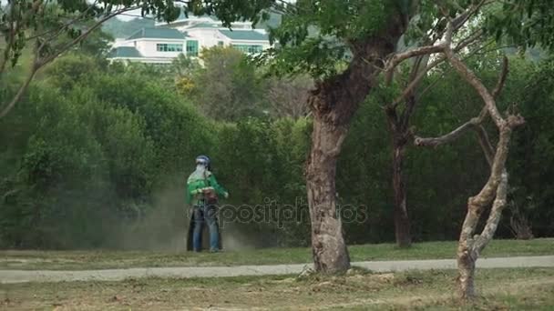 Κηπουρός κόβει ένα πράσινο γκαζόν σε ένα τροπικό πάρκο στοκ πλάνα βίντεο — Αρχείο Βίντεο