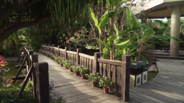 Beautiful tropical garden on site Resort Intime Sanya 5 unfocused time lapse stock footage video — Stock Video