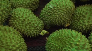 Durian süpermarket stok görüntüleri video sattı