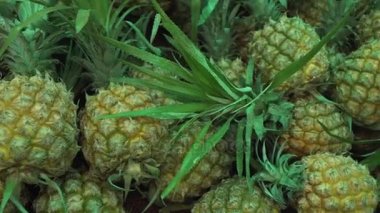 Ananas süpermarket stok görüntüleri video sattı