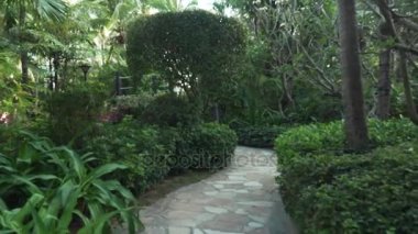 Site zamanında Resort Sanya 5 odaklanmamış stok görüntüleri video güzel tropik bahçe