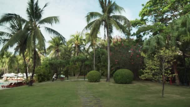 Vacker tropisk trädgård på webbplatsen Resort Intime Sanya 5 ofokuserat arkivfilmer video — Stockvideo