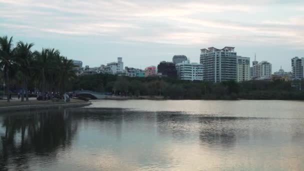 Panorama du lac du soir à Egret Park stock footage video — Video