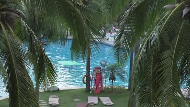 Branches of palm trees on the background of the pool in the Resort Intime Sanya 5 stock footage video — Stock Video