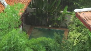 Güçlü tropik şiddetli yağmur Tayland stok görüntüleri video