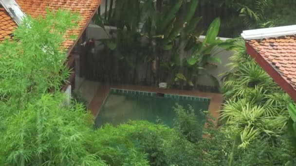 Fuerte aguacero tropical en Tailandia archivo de vídeo — Vídeos de Stock
