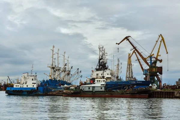 Navi di pattuglia di frontiera della guardia costiera e gru portuali vicino alla costa di Kamchatka . — Foto Stock