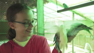 Genç kız dalgalı papağan stok görüntüleri video akışları.