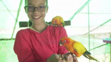 Genç kız papağan cennet papağanı stok görüntüleri video akışları.