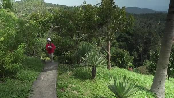 Giovane ragazza cammina attraverso il parco tropicale e scatta foto della bellezza della natura stock filmati video — Video Stock