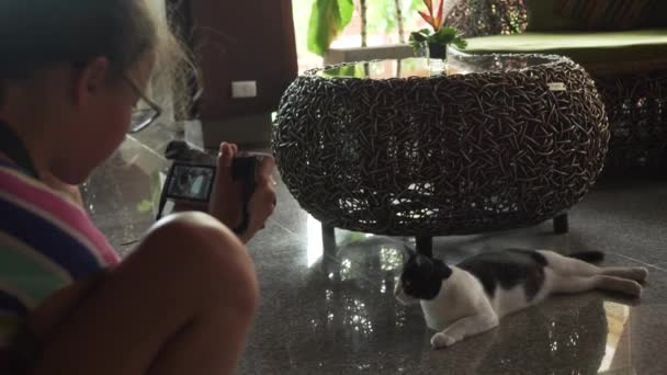Chica joven toma una foto de un gato en el vestíbulo del hotel de Samui Buri Beach Resort material de archivo de vídeo — Vídeos de Stock