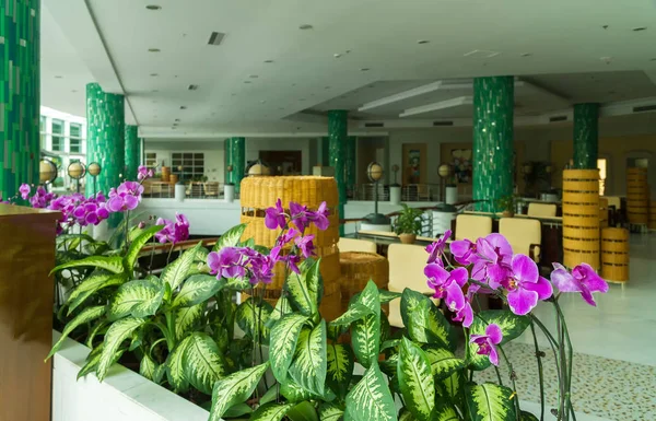 Dadonghai Bay Resort zamanında Sanya 5 Hotel'in rahat lobi