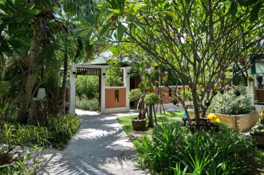 Hotel Lamai Hindistan cevizi Beach Resort topraklarının