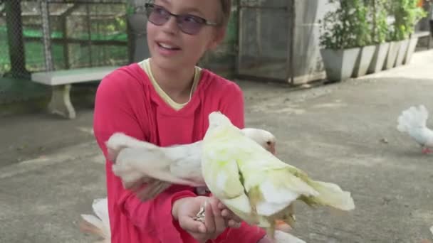 Chica joven alimenta palomas ornamentales con plumas multicolores material de archivo de vídeo — Vídeos de Stock