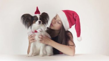 Güzel genç kız ve köpek Continental oyuncak İspanyol Papillon sevinçle öpüşme ve beyaz arka plan stok görüntüleri video dalga geçmeyi Noel Baba kapaklar
