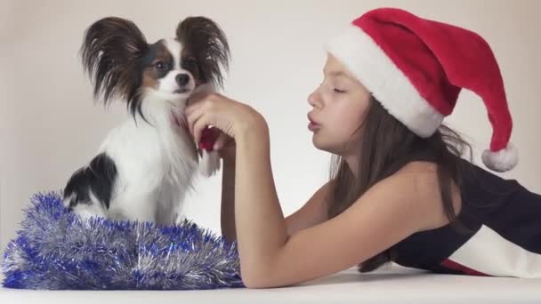 Güzel genç kız Santa Claus şapka ve köpek Continental oyuncak İspanyol Papillon yeni yıl içinde tinsel sevinçle üzerinde beyaz arka plan stok görüntüleri video oynarken — Stok video