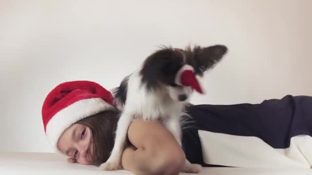 Beautiful teen girl and dog Continental Toy Spaniel Papillon in Santa Claus caps joyfully kissing and fooling around on white background stock footage video — Stock Video