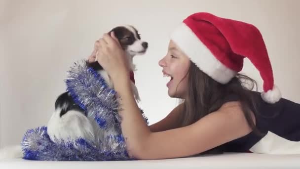 Hermosa chica adolescente en Santa Claus sombrero y perro Continental Juguete Spaniel Papillon en Año Nuevo oropel alegremente jugando en el fondo blanco material de archivo de vídeo — Vídeos de Stock