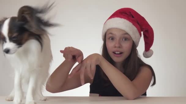 Bella ragazza adolescente felice in un cappello di Babbo Natale è sorpreso e gode del tanto atteso regalo - cane giocattolo continentale Spaniel Papillon su sfondo bianco stock filmato video — Video Stock