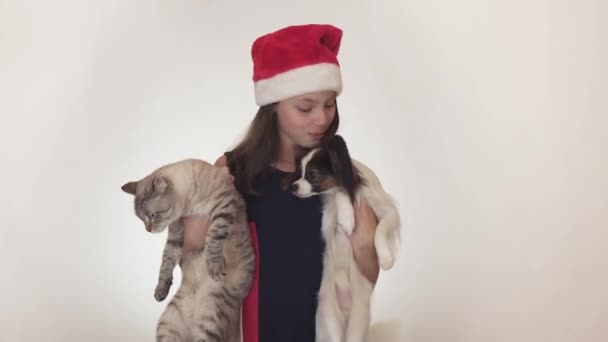 Menina adolescente bonita no chapéu de Papai Noel beija alegremente e abraça seu gato e cachorro no fundo branco imagens vídeo . — Vídeo de Stock