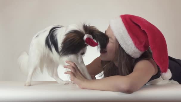 Beautiful teen girl and dog Continental Toy Spaniel Papillon in Santa Claus caps joyfully kissing and fooling around on white background slow motion stock footage video — Stock Video